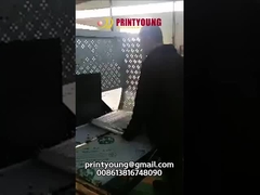 PE-100D কার্টন বক্স স্ট্র্যাপিং মেশিন